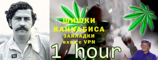 ECSTASY Липки