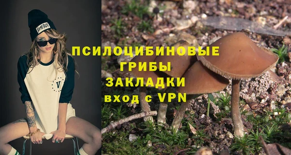 шишки Лихославль