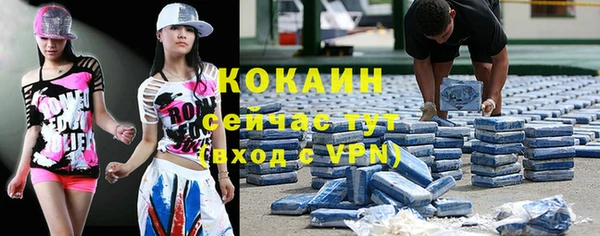шишки Лихославль