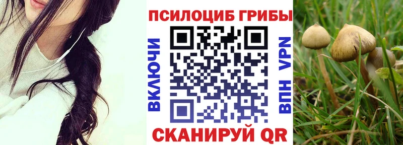 Галлюциногенные грибы ЛСД  Купить  Теберда 